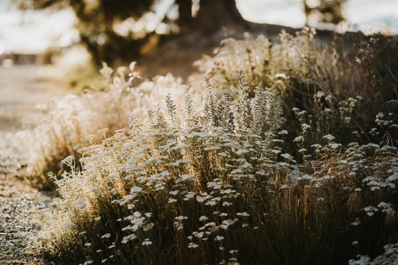 earnslaw burn prewedding iluminen bali wedding photographer new zealand connection session destination madelaine hendra queenstown lake tekapo milford sound south island roys peak mount nicholas