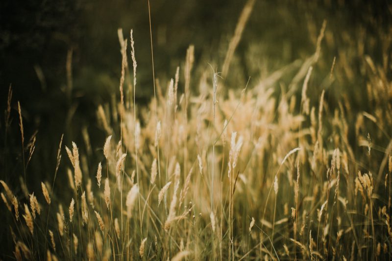 earnslaw burn prewedding iluminen bali wedding photographer new zealand connection session destination madelaine hendra queenstown lake tekapo milford sound south island roys peak mount nicholas