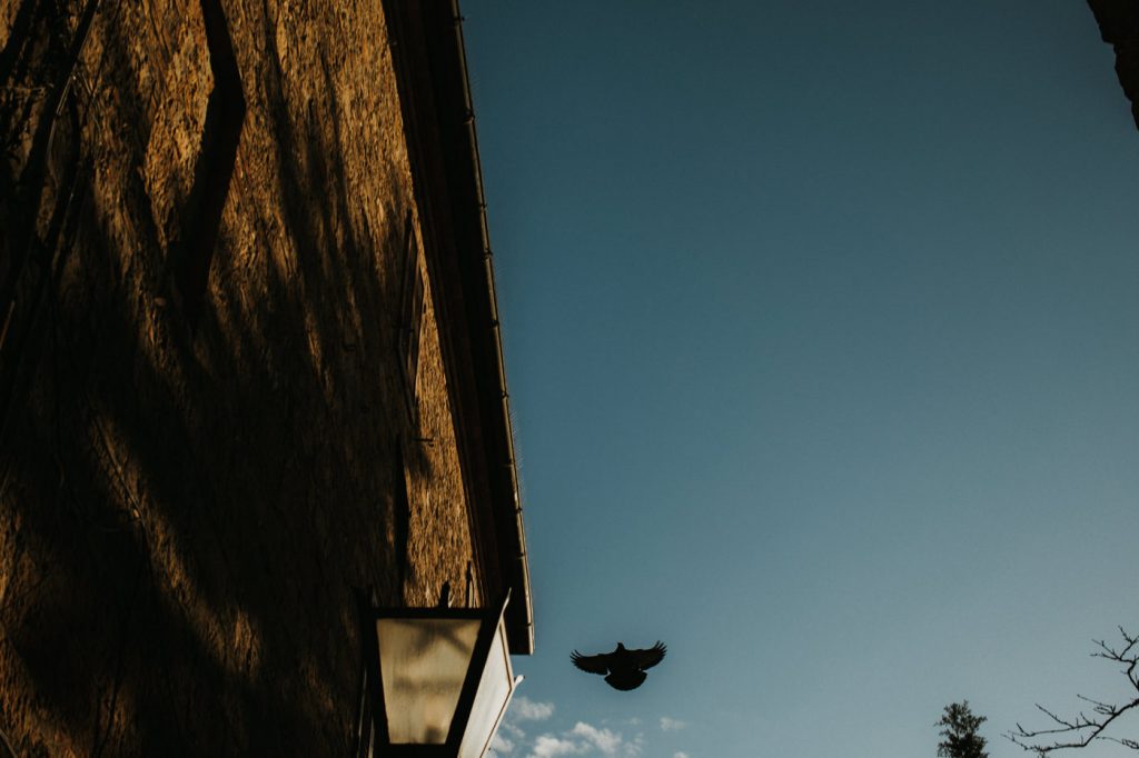 italy-prewedding-intimate-outdoor-session-wedding-photographer-beautiful-artistic-terri-travins